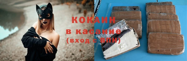 бошки Алексин