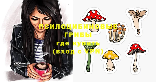mdpv Алзамай