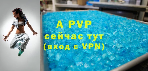 a pvp Новозыбков