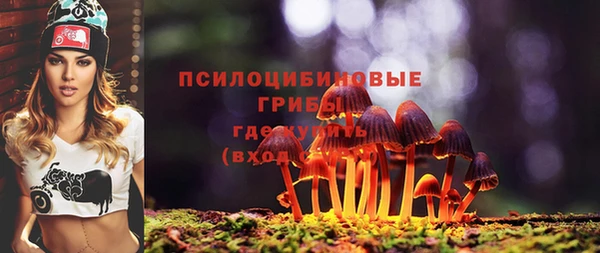 амфетамин Новодвинск