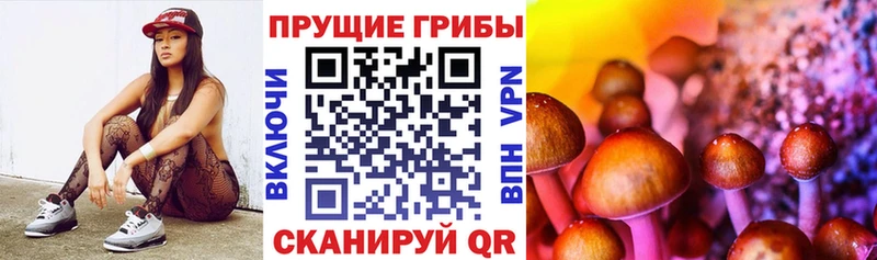 Галлюциногенные грибы MAGIC MUSHROOMS  где продают наркотики  Энем 